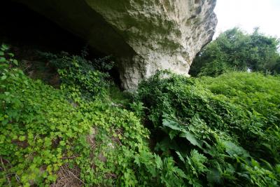 Прикрепленное изображение: DSC03395-1.jpg